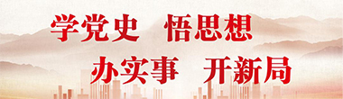 学党史 悟思想
