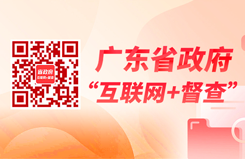 title='广东省政府“互联网+督查”平台'
